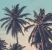 blog-5