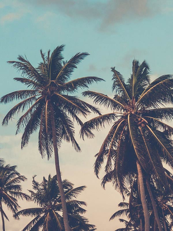 blog-5